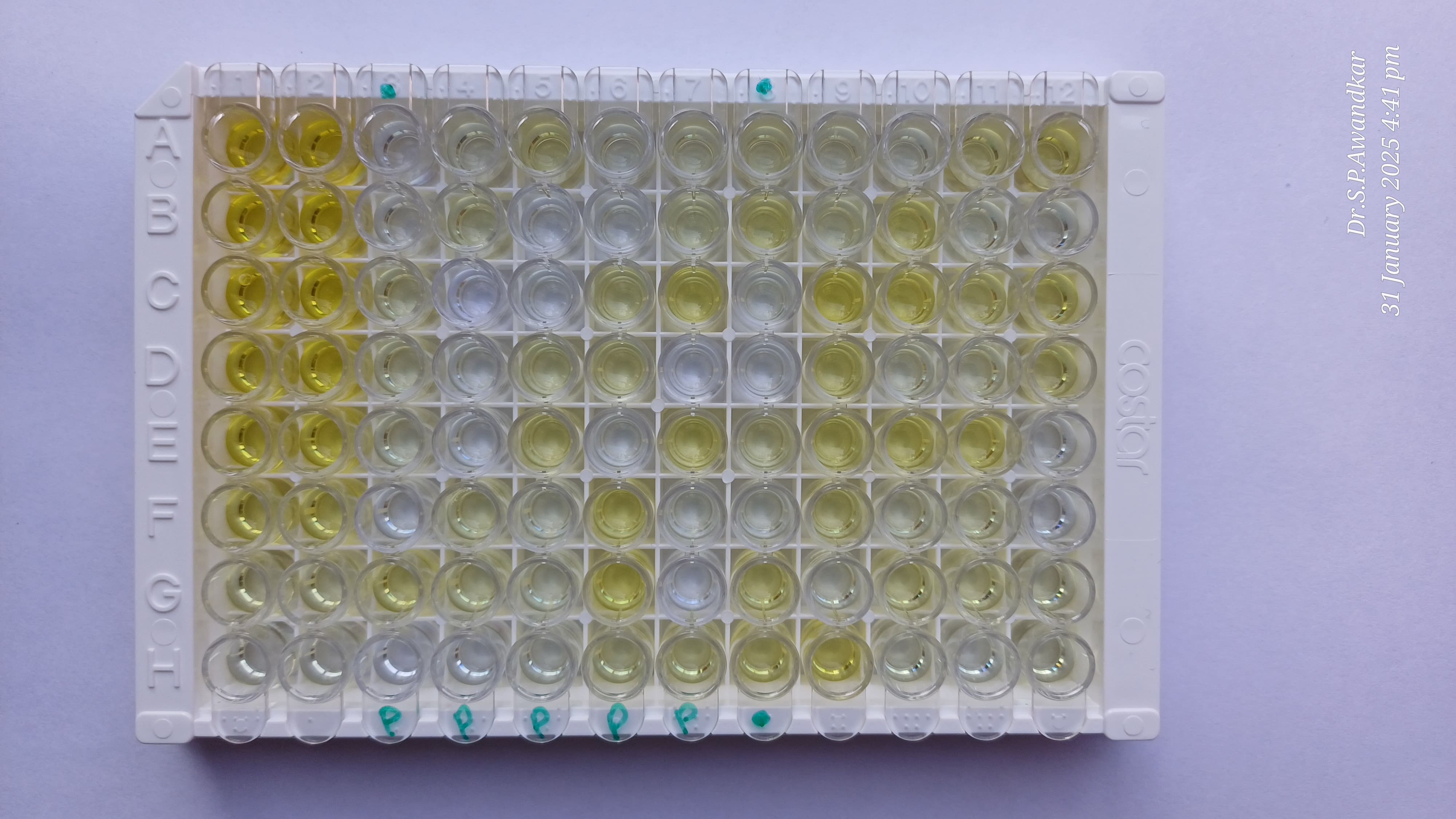 46. Avidin Biotin ELISA